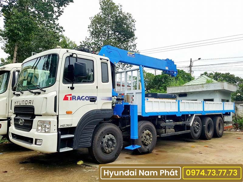 Cẩu 6 Tấn DongYang SS1406